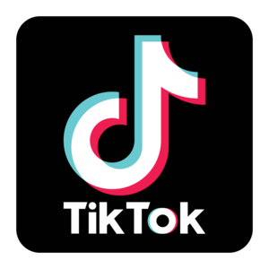 Logo for TikTok Brasil