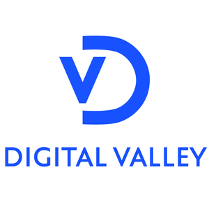 Logo for Digital Valley Portugal
